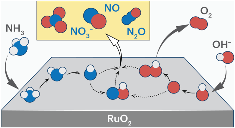 RuO2.png